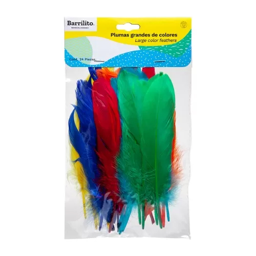 Plumas de Colores Barrilito Grandes F024