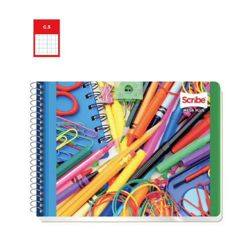 Cuaderno Scribe, Forma Italiana, c/100H, Cuadro Chico