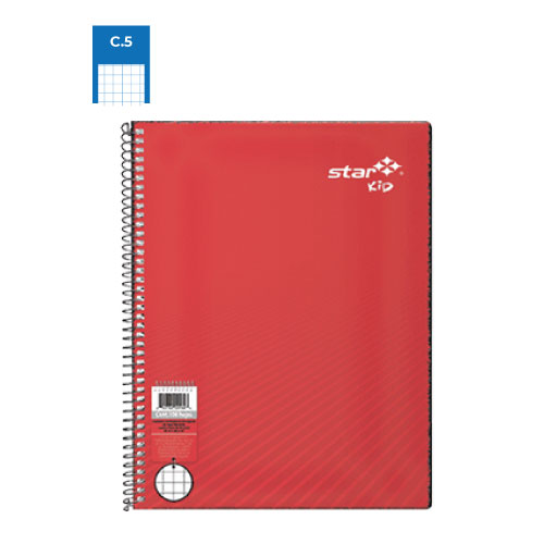 Cuaderno Estrella Profesional, c/100H, Cuadro Chico