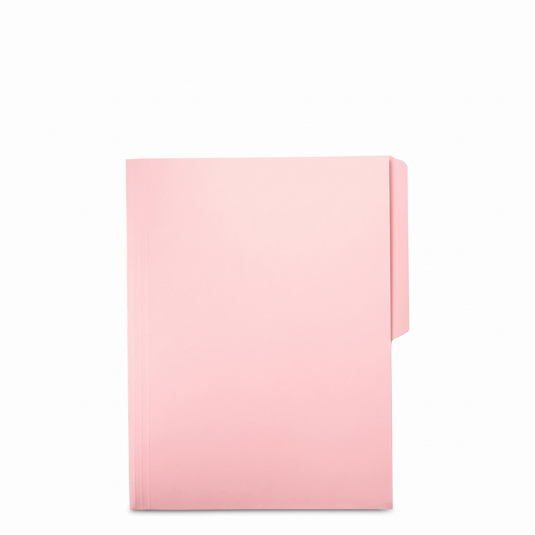 Folder Nassa, Tamaño Carta, Rosa, (1 Pieza)