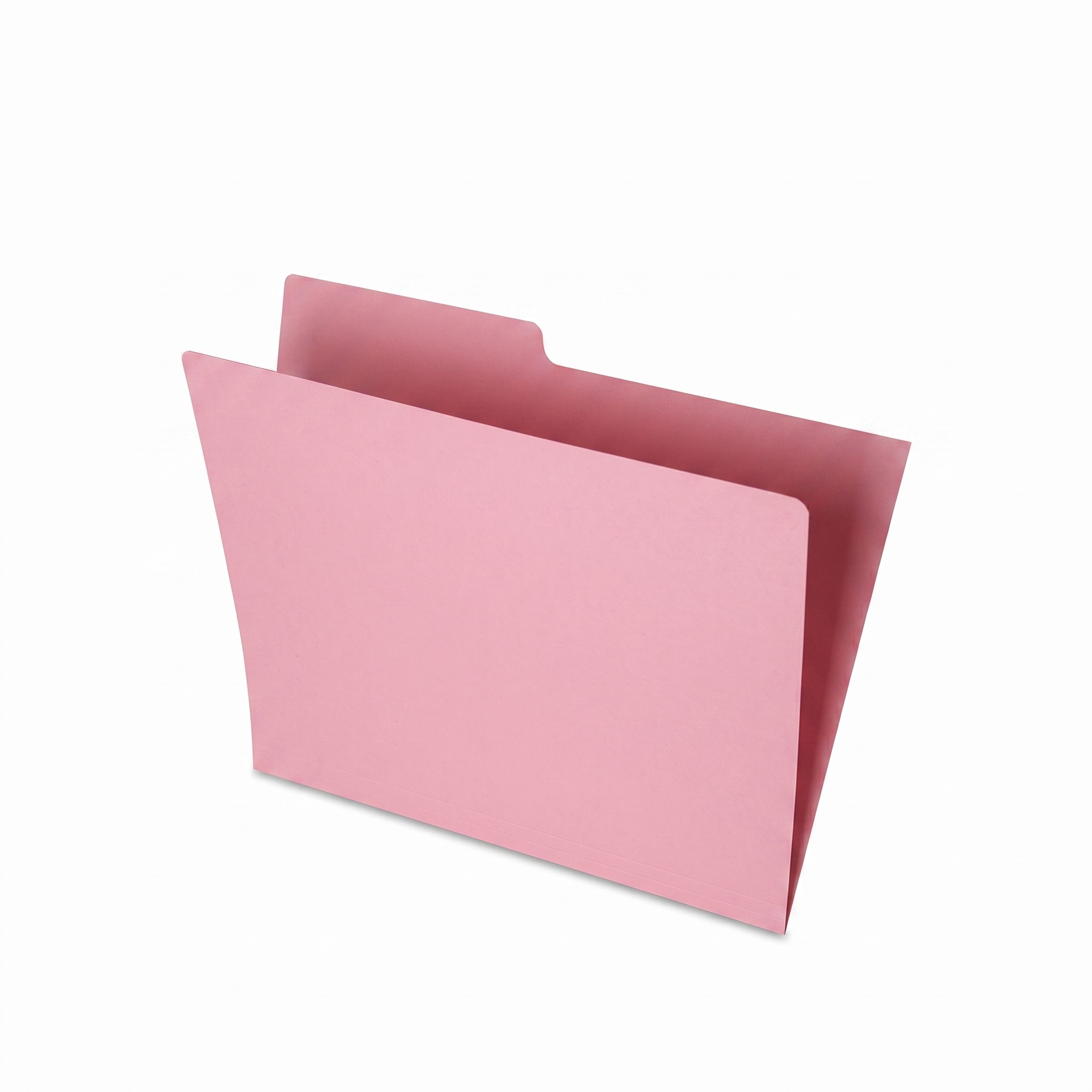Folder Nassa, Tamaño Carta, Rosa, (1 Pieza)