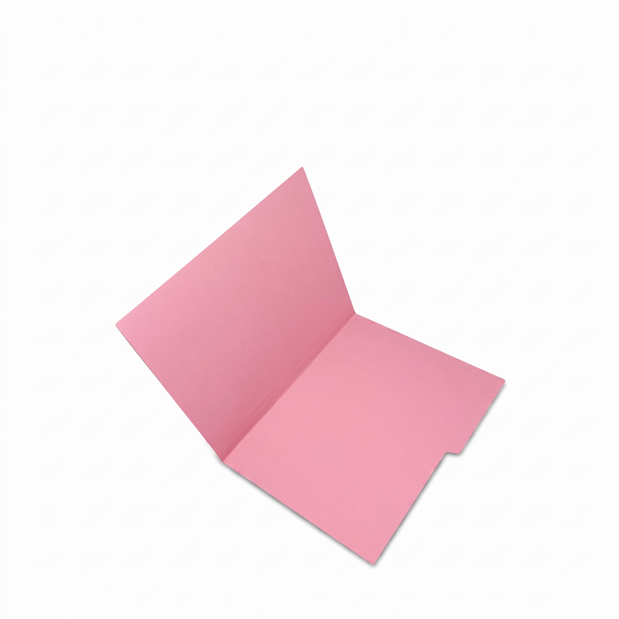 Folder Nassa, Tamaño Carta, Rosa, (1 Pieza)