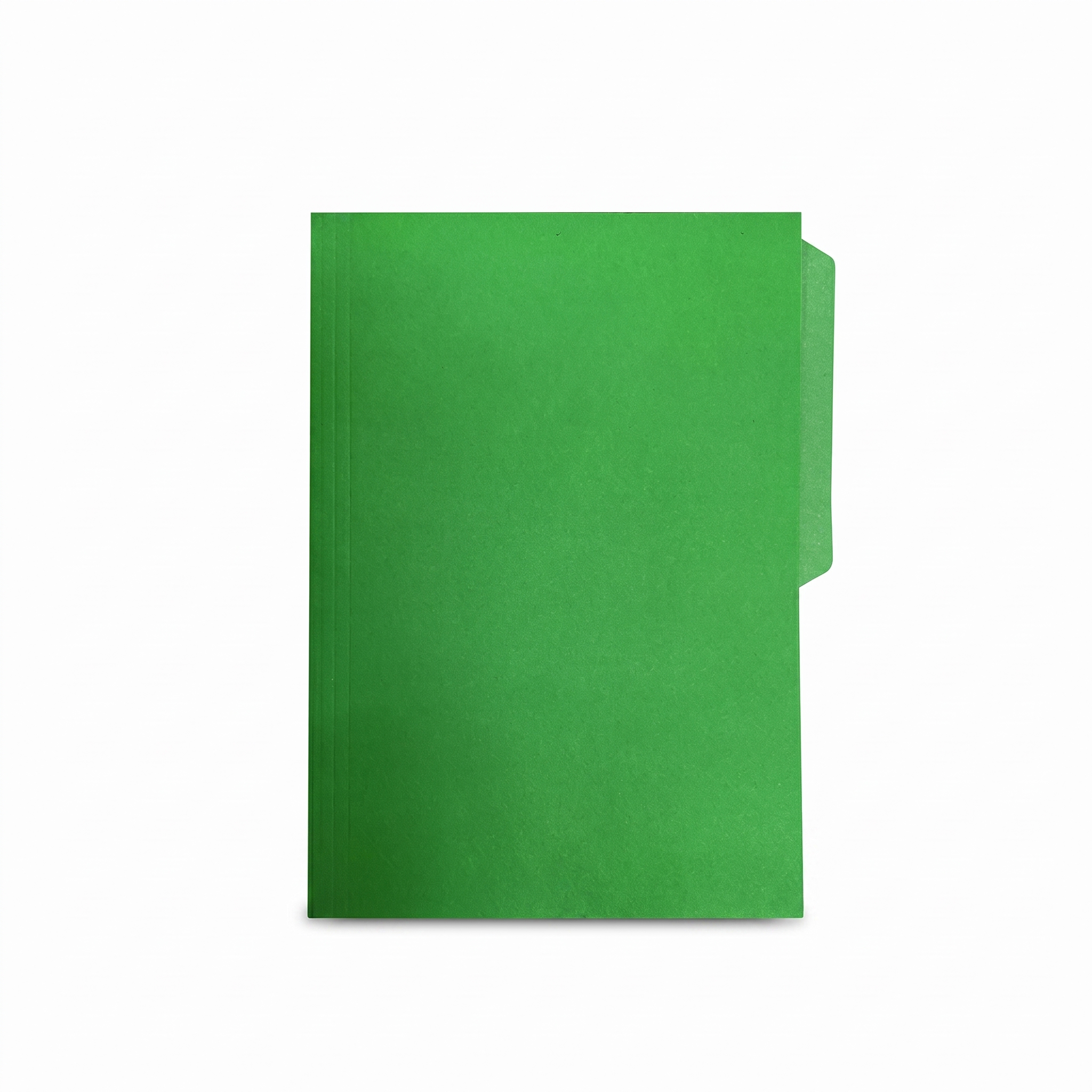 Folder Nassa, Tamaño Carta, Verde, (1 Pieza)
