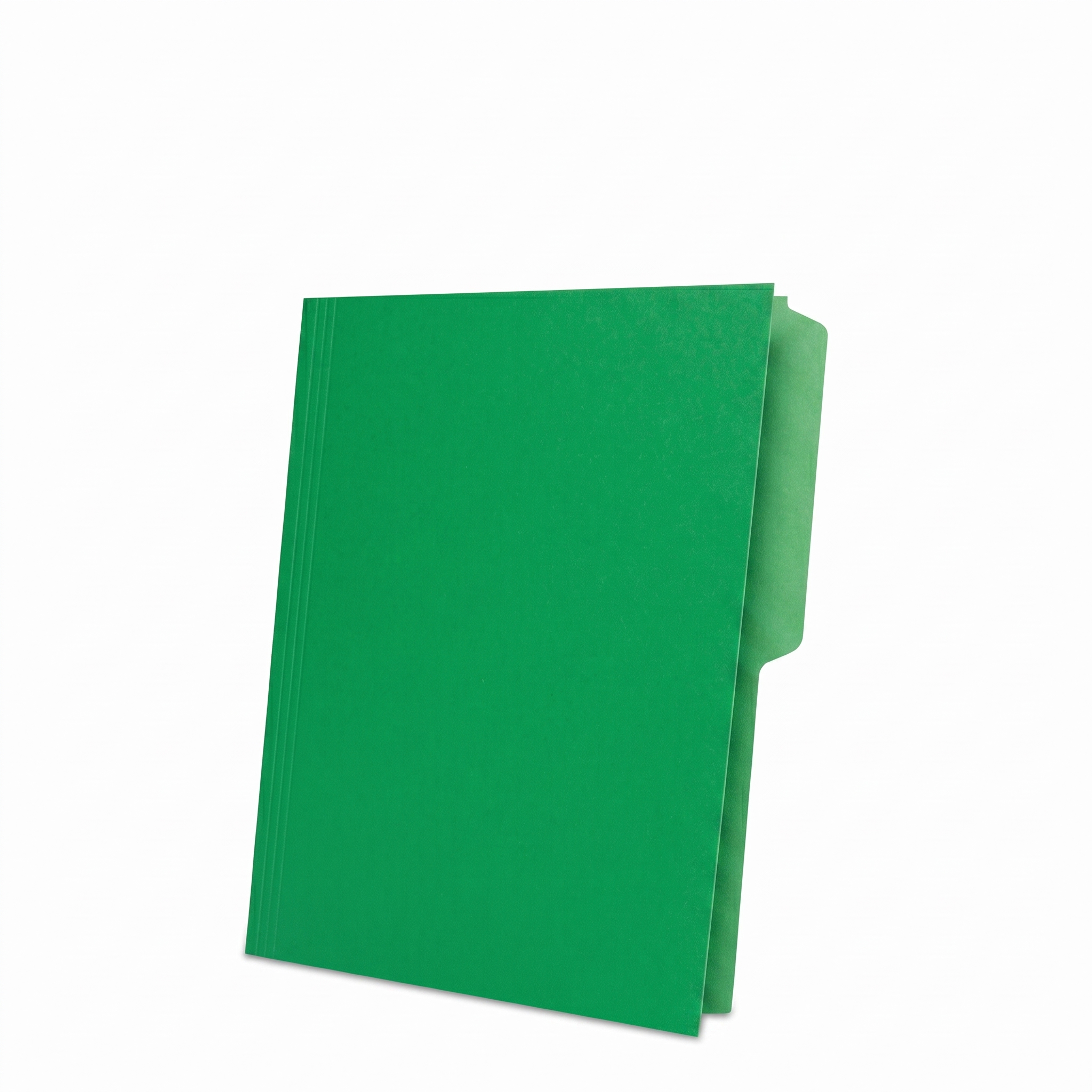 Folder Nassa, Tamaño Carta, Verde, (1 Pieza)