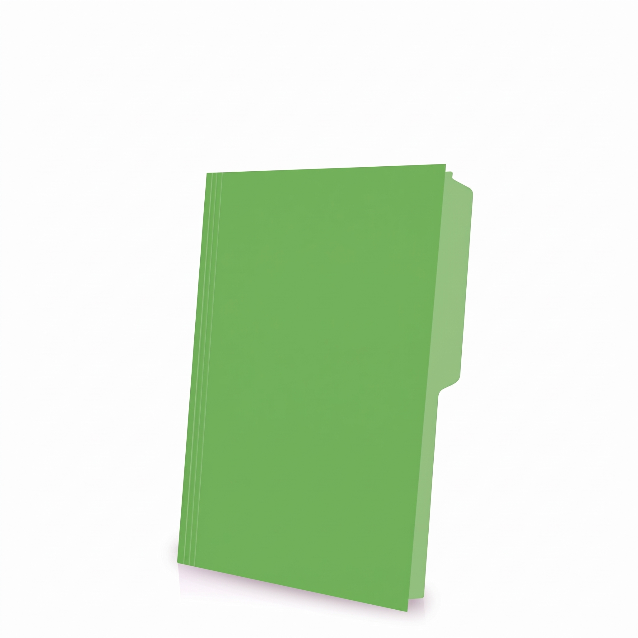Folder Nassa, Tamaño Oficio, Verde, (1 Pieza)