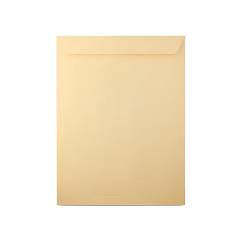 Sobre Mapasa IA0369 Tamaño ExA Ministro 30.5 x 39.5 cm Golden Kraft con Solapa Engomada 1 Pieza