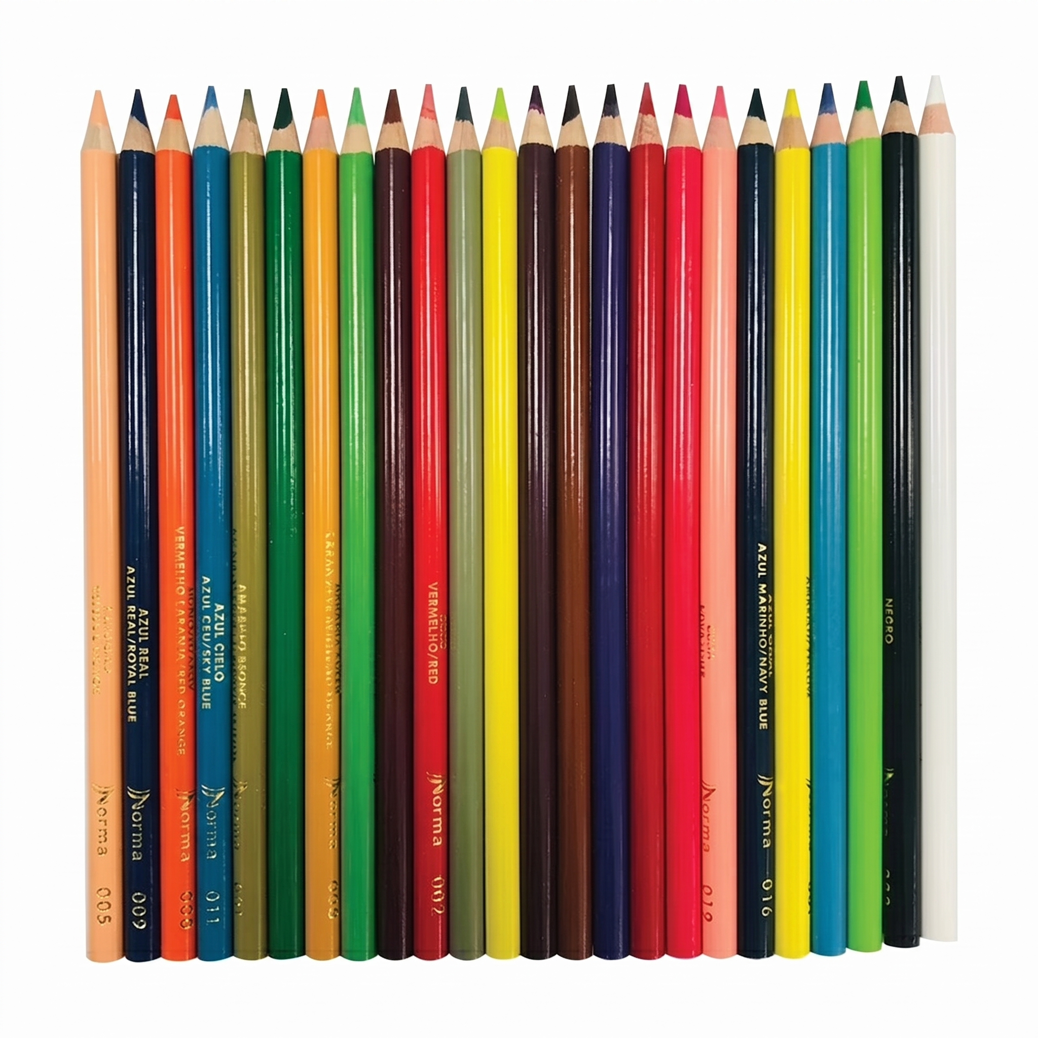 Lápices de Colores Norma Básicos Largos C24 Piezas Modelo 584204 547073
