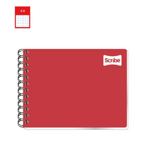 Cuaderno Scribe, Forma Italiana, c/100H, Cuadro Chico