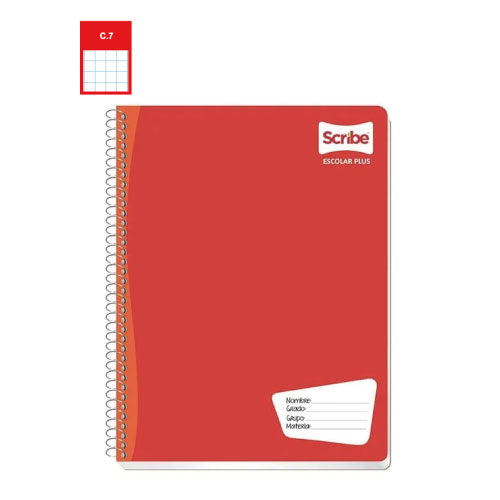 Cuaderno Scribe Profesional, c/100H, Cuadro Grande