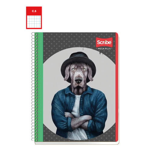 Cuaderno Scribe Profesional, c/100H, Cuadro Chico