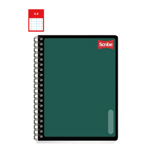 Cuaderno Scribe Profesional, c/100H, Cuadro Chico