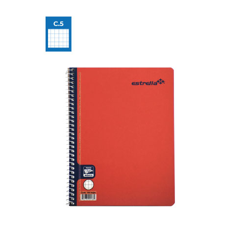 Cuaderno Estrella Forma Francesa, c/100H, Cuadro Chico C5
