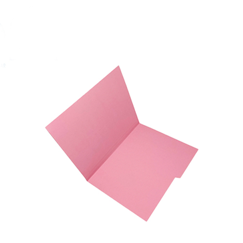 Folder Nassa, Tamaño Carta, Rosa, (1 Pieza)