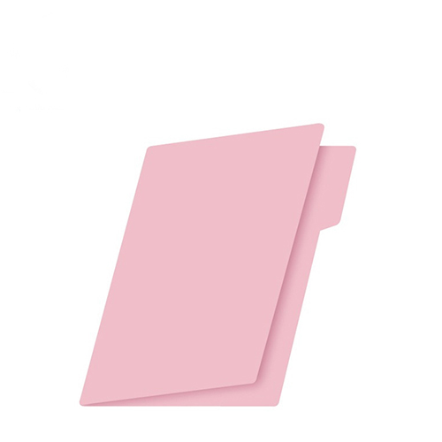 Folder Nassa, Tamaño Carta, Rosa, (1 Pieza)