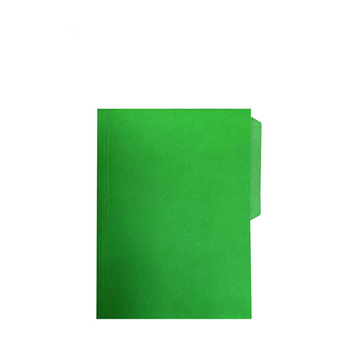 Folder Nassa, Tamaño Carta, Verde, (1 Pieza)