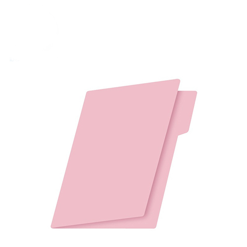 Folder Nassa, Tamaño Oficio, Rosa, (1 Pieza)