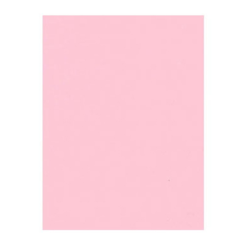 Cartulina Unibristolina, Medidas: 50 x 65 Cm, Color Rosa, (1 Pieza)