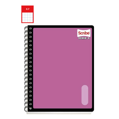 Cuaderno Scribe Profesional, c/100H, Cuadro Grande