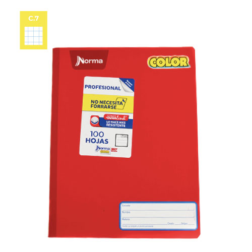 Cuaderno Norma Color 360, c/100H, Cuadro Grande